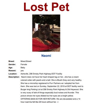Missing Naomi Flyer
